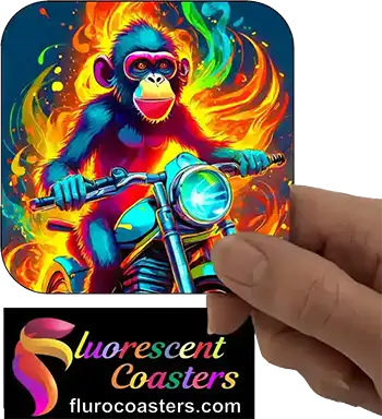  Monkey on Motor Bike 1