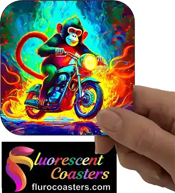  Monkey on Motor Bike 2