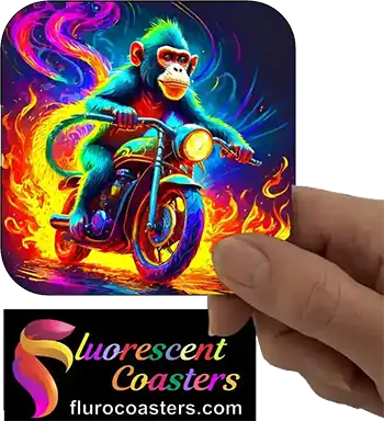  Monkey on Motor Bike 3