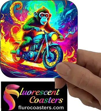  Monkey on Motor Bike 4