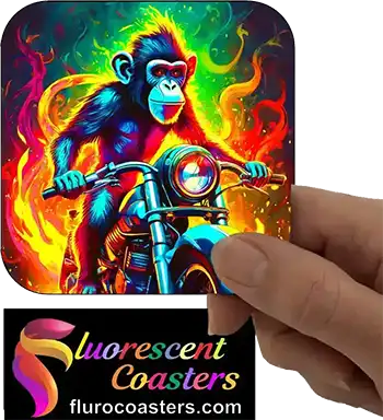  Monkey on Motor Bike 5