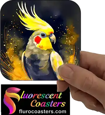 Cockatiel 2
