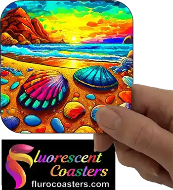  Beach Shells Pebbles 3