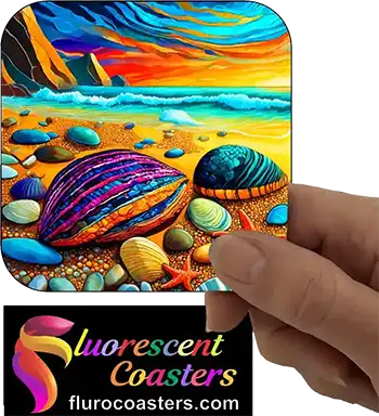  Beach Shells Pebbles 4