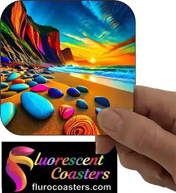  Beach Shells Pebbles 6