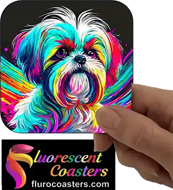  Maltese Shihtzu Dog 2