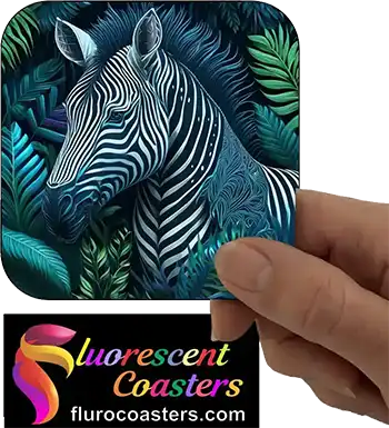  Zebra 6