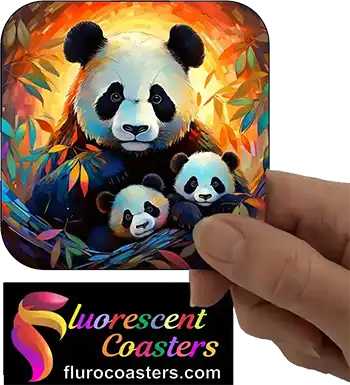  Pandas 1
