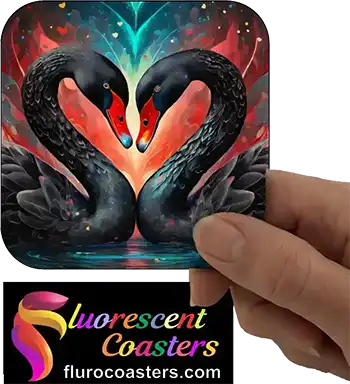 Black Swans Forming Love Heart