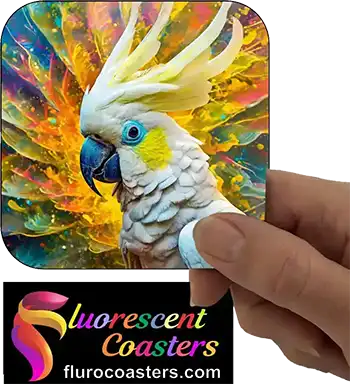 Cockatoo Yellow Sulphur Crested 1