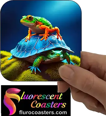 Frog Sitting On Turtle