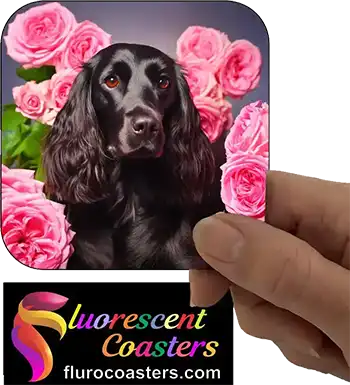 Black Purebred Russian Spaniel Dog