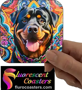 Rottweiler Dog 2
