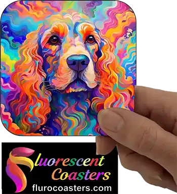 English Cocker Spaniel Dog 2