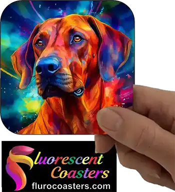 Rhodesian Ridgeback Dog 1