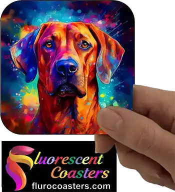 Rhodesian Ridgeback Dog 2