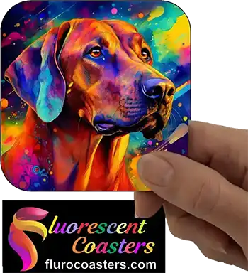 Rhodesian Ridgeback Dog 3