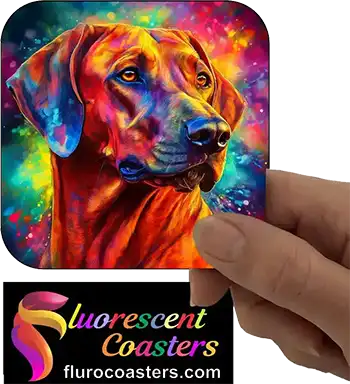 Rhodesian Ridgeback Dog 4