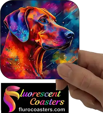 Rhodesian Ridgeback Dog 5