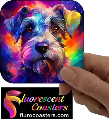 Miniature Schnauzer Dog 1