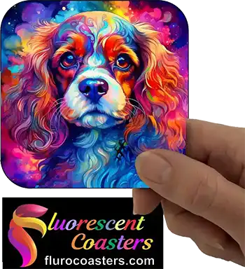 Cavalier King Charles Spaniel Dog 1