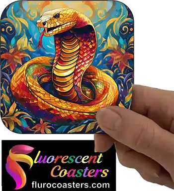 Cobra Golden King Snake