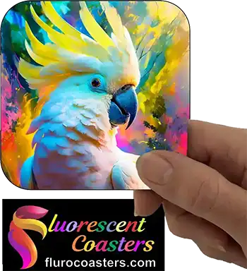 Cockatoo Yellow Sulphur Crested 3