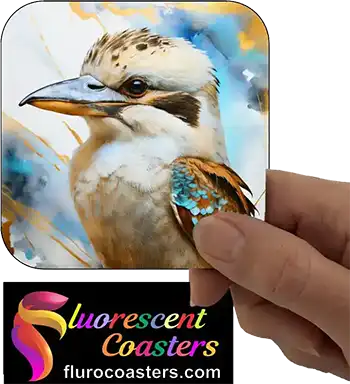 Kookaburra 8