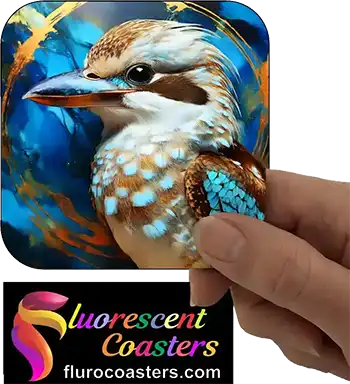 Kookaburra 13
