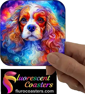 Cavalier King Charles Spaniel Dog 2