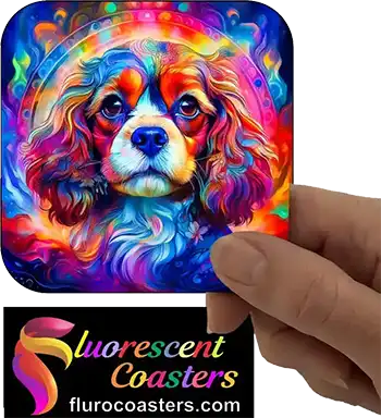  Cavalier King Charles Spaniel Dog 3