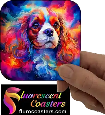 Cavalier King Charles Spaniel Dog 4