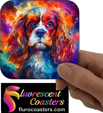 Cavalier King Charles Spaniel Dog 5