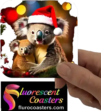 Koala Christmas 1