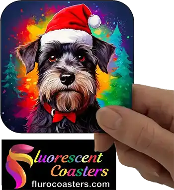  Miniature Schnauzer Dog Wearing Christmas Hat 1