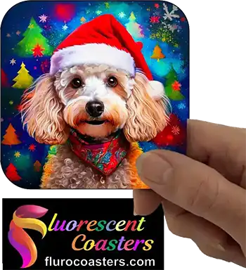  White Poodle Dog Wearing Christmas Hat 1