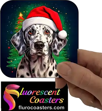  Dalmatian Dog Wearing Christmas Hat 2