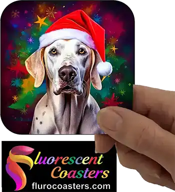  Great Dane Dog Wearing Christmas Hat 1