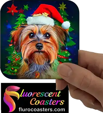  Silky Terrier Dog Wearing Christmas Hat 1