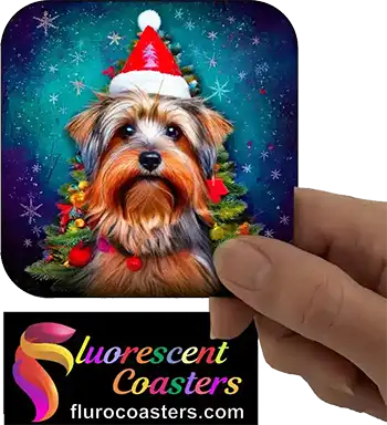 Silky Terrier Dog Wearing Christmas Hat 2