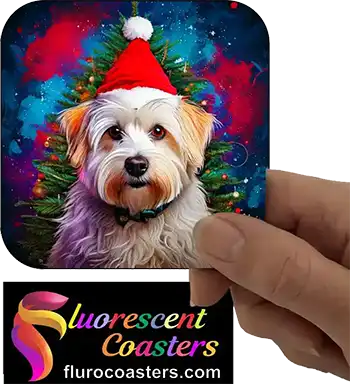  Maltese Dog Wearing Christmas Hat 1