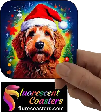 Labradoodle Dog Wearing Christmas Hat 2