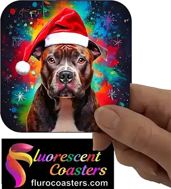  Staffordshire Bull Terrier Dog Wearing Christmas Hat 2