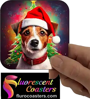  Jack Russell Dog Wearing Christmas Hat 2