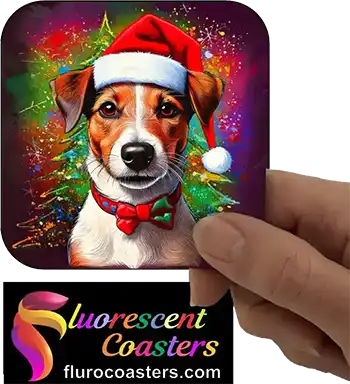  Jack Russell Dog Wearing Christmas Hat 3