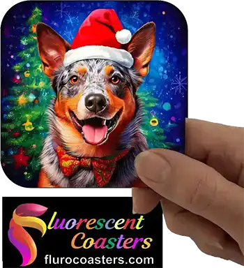  Australian Cattle Dog Wearing Christmas Hat 1