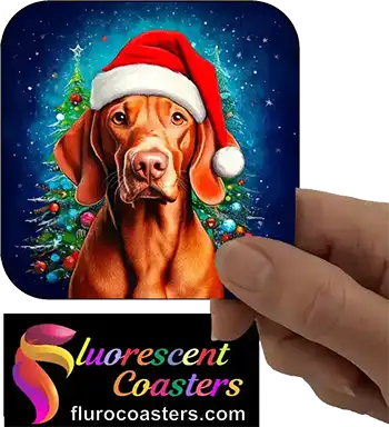  Hungarian Vizsla Dog Wearing Christmas Hat 1