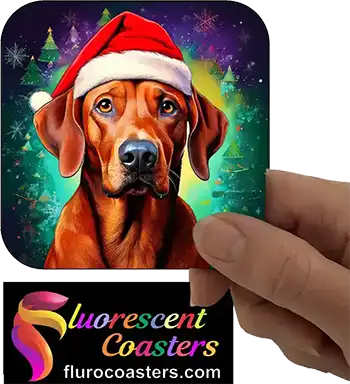  Rhodesian Ridgeback Dog Wearing Christmas Hat 1