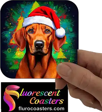  Rhodesian Ridgeback Dog Wearing Christmas Hat 2