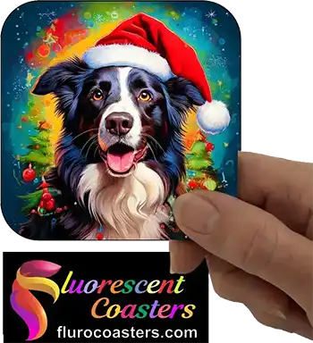 Border Collie Dog Wearing Christmas Hat 1